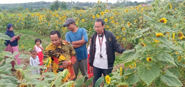 Dosen FAI UMM Kembangkan Desa Wisata “Taman Banjar Sekar” di Kampung Halaman.